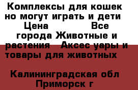 Комплексы для кошек, но могут играть и дети › Цена ­ 11 900 - Все города Животные и растения » Аксесcуары и товары для животных   . Калининградская обл.,Приморск г.